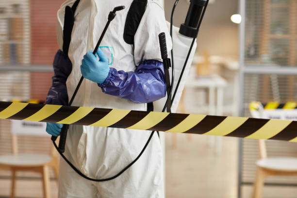 Professional Odor Removal technician working in Burlington, WA