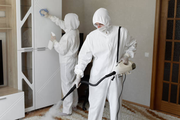24/7 Emergency Odor Removal experts in Burlington, WA