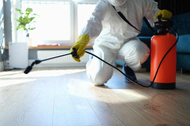 Reliable Odor Removal contractor in Burlington, WA by Trauma Clean Pros